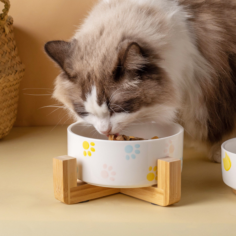 ชามอาหารเซรามิกสำหรับสุนัขพร้อ - Baby Food Cat บทวิจารณ์และราคา