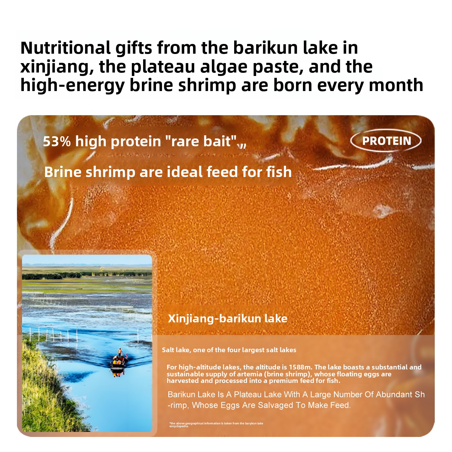 สาหร่ายอาร์ทีเมียแบบไม่ต้องฟัก - Baby Food High In Protein บทวิจารณ์และราคา