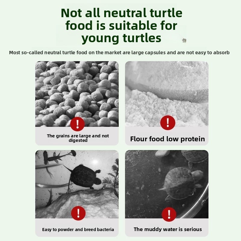 Nai chong Hatchling Turtle Foo - Baby Food High In Protein บทวิจารณ์และราคา